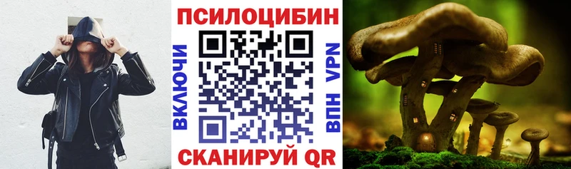 Галлюциногенные грибы прущие грибы Кызыл