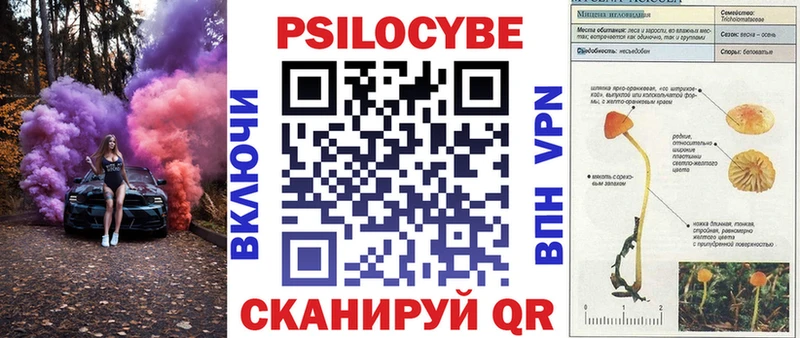 Галлюциногенные грибы мицелий  ОМГ ОМГ tor  Кызыл  закладка 