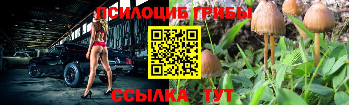 Кызыл  Псилоцибиновые грибы мухоморы  Вход с VPN 
